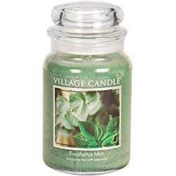 Eliminating odor in home: Best 6 scent candles 4. Village Candle Eucalyptus Mint  Village Candle Eucalyptus Mint has fresh and soft scent. This has a eucalyptus leaf and spearmint.