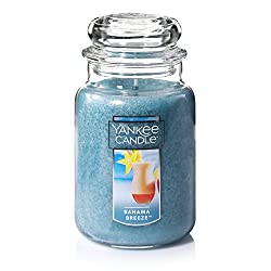 Eliminating odor in home: Best 6 scent candles 6. Yankee Candle Bahama Breeze Yankee Candle Bahama Breeze is excellent for removing the smell of food. It has a sweet and cozy scent in a word.
