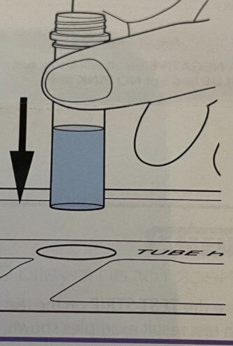 Quidel QuickVue at home OTC COVID-19 Test kit Review  How to use COVID-19 Test kit at home Step 2. Place tube in the tube holder