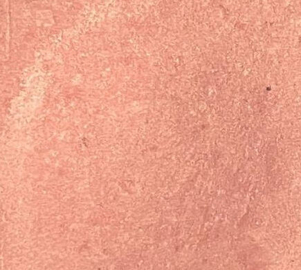 Eye shadow: Laura Mercier Guava Review