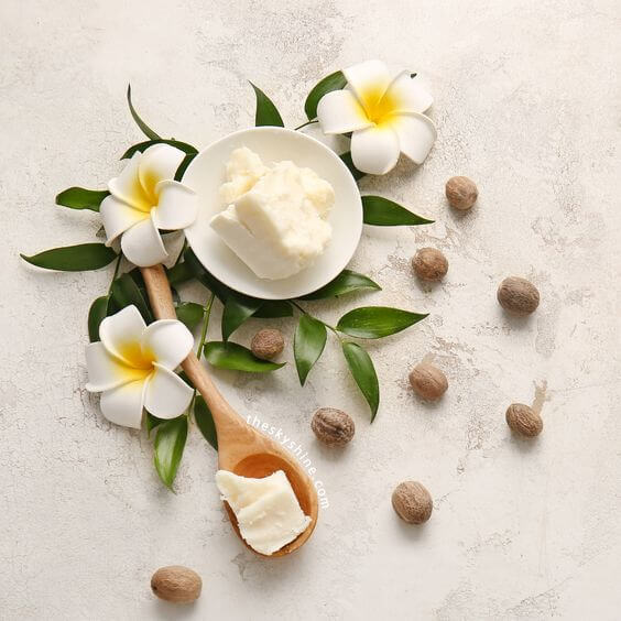 What is Shea Butter and Why is it Beneficial for Your Skin? 1. What is Shea Butter?