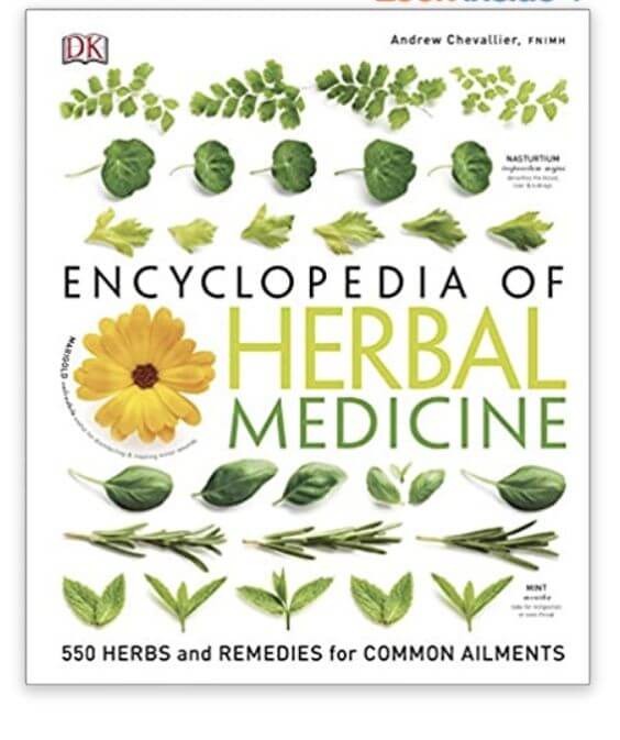 Understanding Herbal Fragrance: A Guide to Aromatic Botanical Scents 2. Benefits of Herbal Fragrance Encyclopedia Of Herbal Medicine