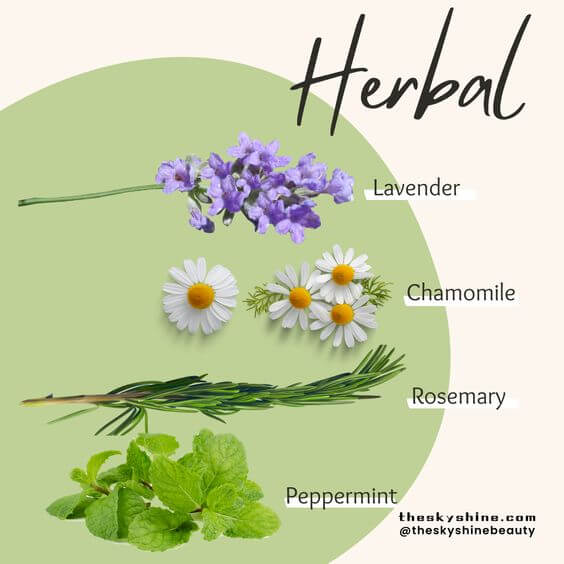 Understanding Herbal Fragrance: A Guide to Aromatic Botanical Scents 1. What is Herbal Fragrance?
