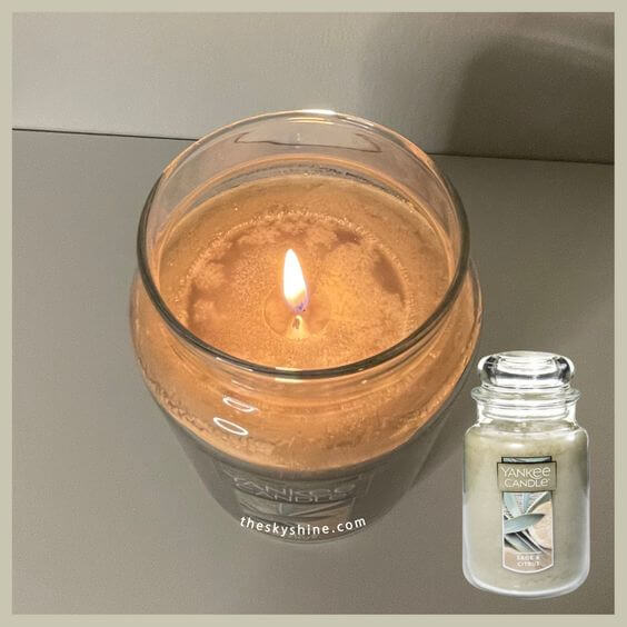 Yankee Candle Sage & Citrus Review: A Perfect Blend of Citrus and Herbs 3. Pros and Cons