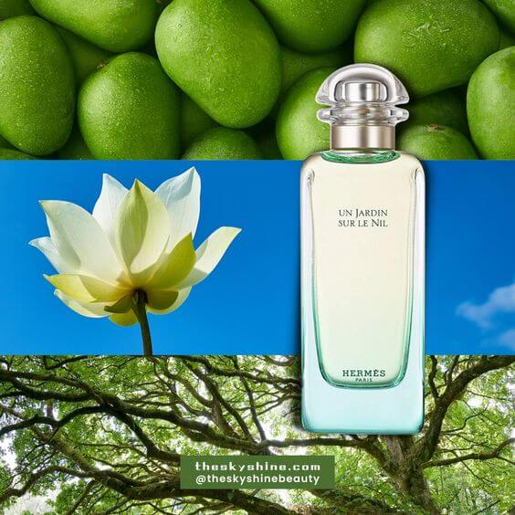 Hermès Un Jardin Sur Le Nil Review: A Refreshing and Exotic Fragrance 1. The Fragrance Notes Un Jardin Sur Le Nil is a blend of fruity (green mango) and floral (lotus) notes at first, and the scent combined with the sycamore wood lasts for more than 6 hours. The sycamore wood add depth and warmth to the fragrance. In short, it is fresh and delicate.