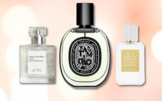 Best 5 Earthy and Woody Perfumes