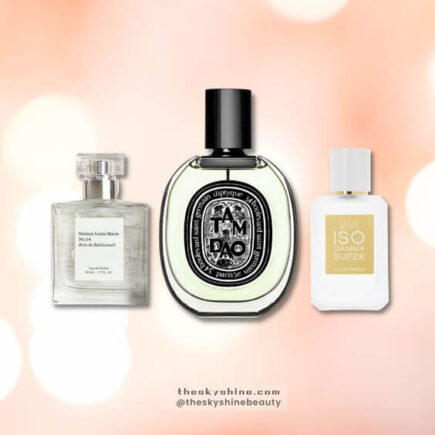 Best 5 Earthy and Woody Perfumes