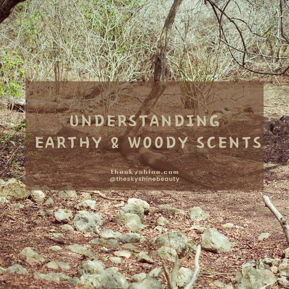 Understanding Earthy & Woody Scents: A Guide to Perfume CategoriesEarthy & Woody