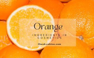 Understanding Orange Cosmetic Ingredient