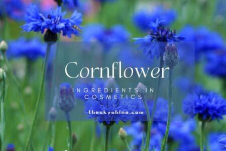 Understanding Cornflower Ingredients in Cosmetics: A Comprehensive Guide