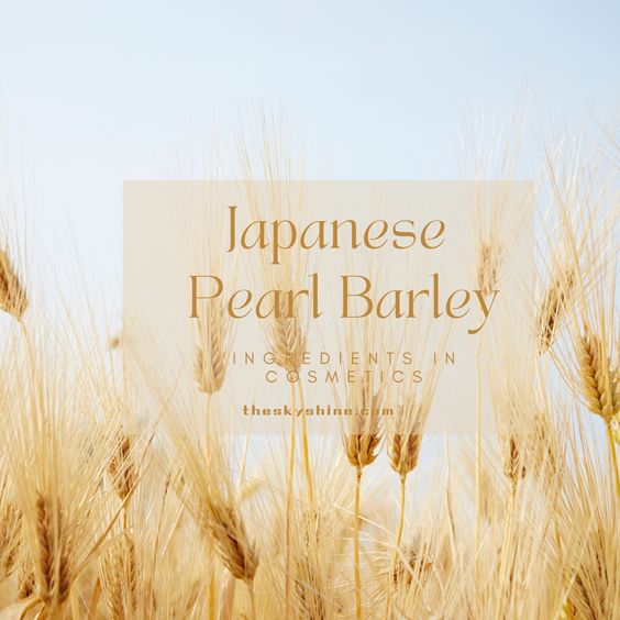 Japanese Pearl Barley: A Hidden Gem in Cosmetic Ingredients