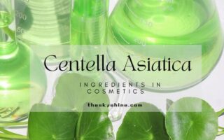Centella Asiatica Cosmetic Ingredient: Game-Changer In Skincare