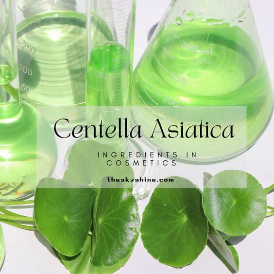 Centella Asiatica Cosmetic Ingredient: Game-Changer In Skincare