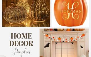 Best 5 Pumpkins Fall Decorations For Home
