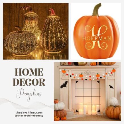 Best 5 Pumpkins Fall Decorations For Home
