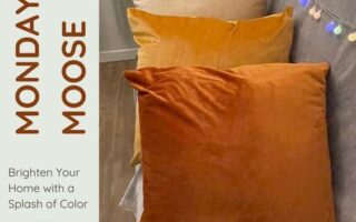 Reviewing the MONDAY MOOSE Decorative Throw Pillow Covers in Orange/Teal