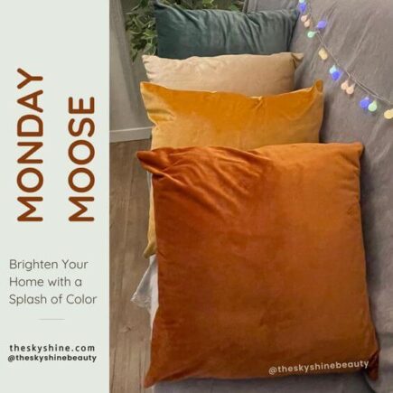 Reviewing the MONDAY MOOSE Decorative Throw Pillow Covers in Orange/Teal