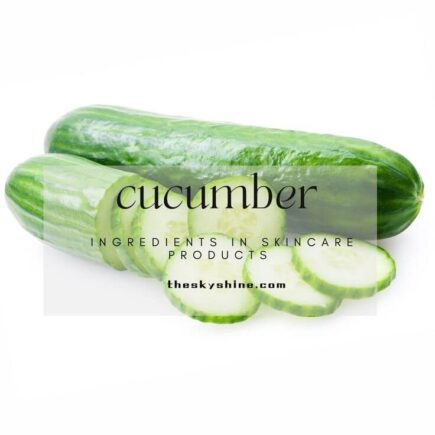Cucumis sativus (cucumber): The Hydration Hero of Cosmetic Ingredients