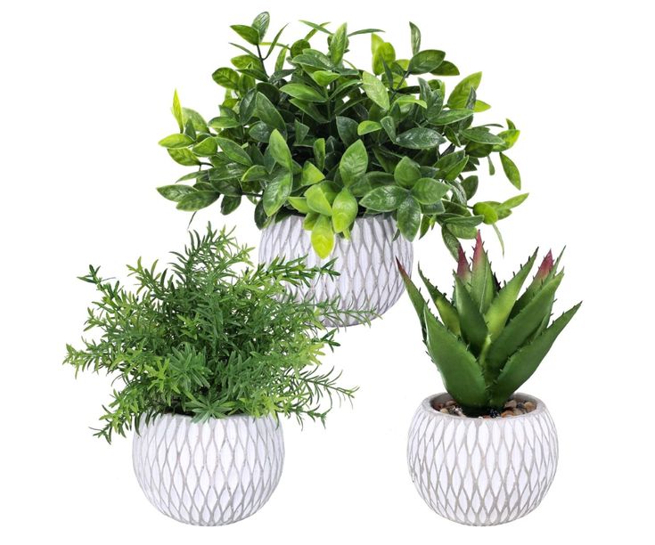The Color Green: A Versatile Home Decor Option 2. Health and Well-being, Artificial Plants 
Winlyn 3 Pcs Small Potted Plants Artificial Eucalyptus Rosemary Plants and Aloe Succulent Plant in Gray Geometric Cement Pots
