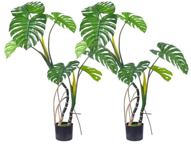 The 3 Timeless Colors Transforming Home Decor for Autumn and Winter 3. Vivid Green, Green can maintain a positive attitude in your home through safety and tranquility.
Aphighjoy Artificial Plants 43'' Monstera Tree