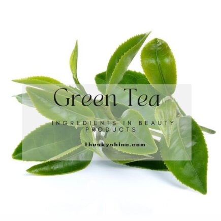 Green Tea Ingredients in Antioxidant Beauty