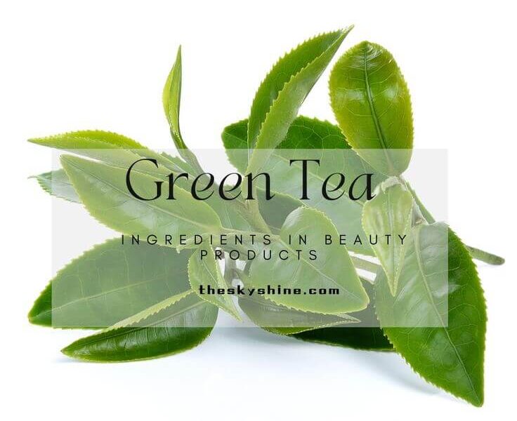 Green Tea Ingredients in Antioxidant Beauty